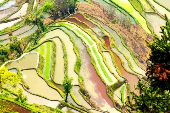 康輝旅游網(wǎng)青島往返 <春暖花季 滇東南攝影>云南昆明 、建水、元陽、蒙自、瀘西、彌勒、羅平雙飛6日