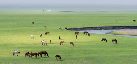 康輝旅游網(wǎng)<秘境甘南SD>若爾蓋花湖、 郭莽濕地、美仁大草原，雙飛 8 天（南充往返）