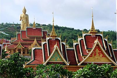 康辉旅游网<必发><惠美版纳>广州直飞版纳原始森林公园、大佛寺、南糯山、告庄纯玩5天