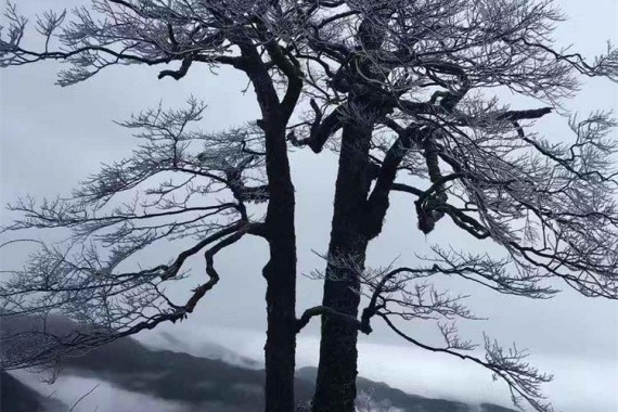 康輝旅游網(wǎng)廣州往返廣西楓花雪月 古東瀑布+貓兒山+興安水街+漓江源大峽谷+大圩古鎮(zhèn)動(dòng)車4天