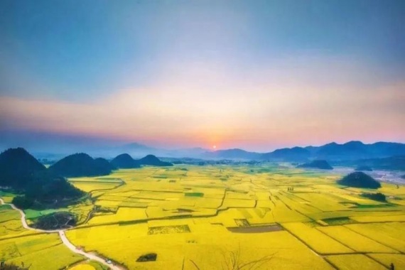 康輝旅游網(wǎng)ZM<3月七彩云南>雙動(dòng)5天，東川紅土地+轎子雪山+羅平油菜花+麒麟水鄉(xiāng)+溫泉