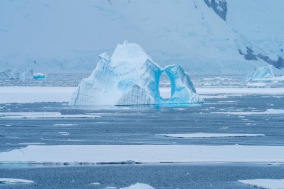 康輝旅游網【龐洛郵輪】南極三島王企鵝群探索巡游24天20晚