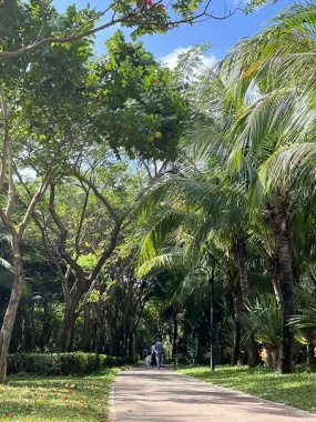 康辉旅游网【优享纯玩系列】香港2天（市区观光+香港海洋公园）（11线4钻）