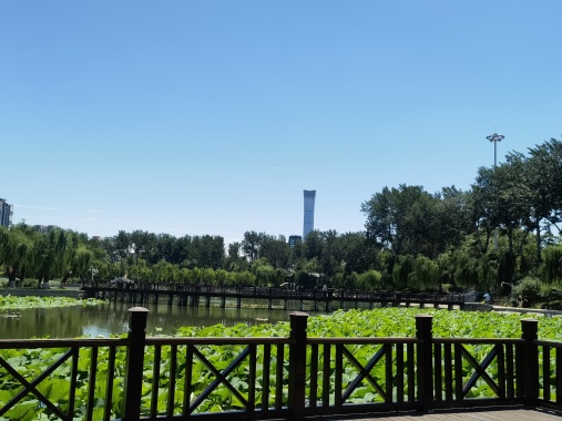 康辉旅游网<纯玩>深圳出发河源野趣沟溯溪探险+暗洞漂流+入住当地五星叶园温泉2天1晚跟团游，汽车往返