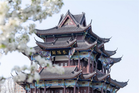 康辉旅游网<暑假特辑>深圳出发岳阳+洞庭湖+宜昌+三峡大瀑布+神农架+神农顶+夜游长江+三峡大坝+沔阳小镇高铁5天4晚跟团游，打卡G348网红公路，亲子课堂，感受22°的夏天，纯玩无自费