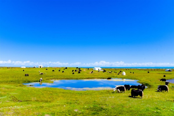 康辉旅游网SL<经典>王牌双核心·直达张家界 韶山|张家界|凤凰双高4天