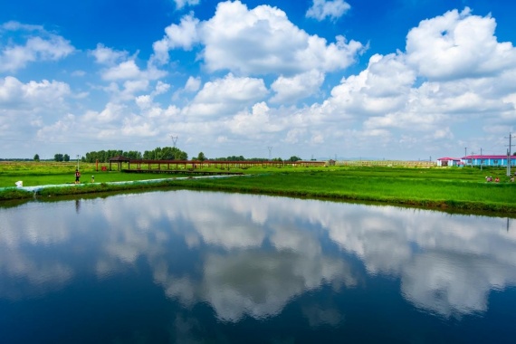 康辉旅游网【品千花奇遇·生态】惠州西湖·千花洲 纯玩1天