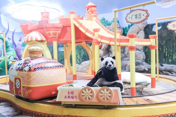 康辉旅游网(佛山出发）线路36港澳珠四天游 （香港市区观光+自由活动+澳门市区观光+珠海市区观光）含回程交通