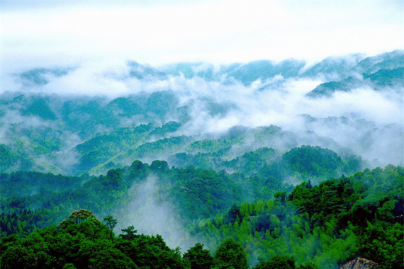 康辉旅游网【温泉.直通车】广州往返惠州龙门南昆山竹溪山境温泉纯玩3天2晚半自助游