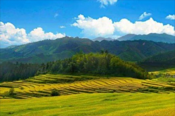 康辉旅游网【潇洒行】广州往返清远欧家梯田、入住小华山峪涧山居、石漠公园赏银杏纯玩3天游