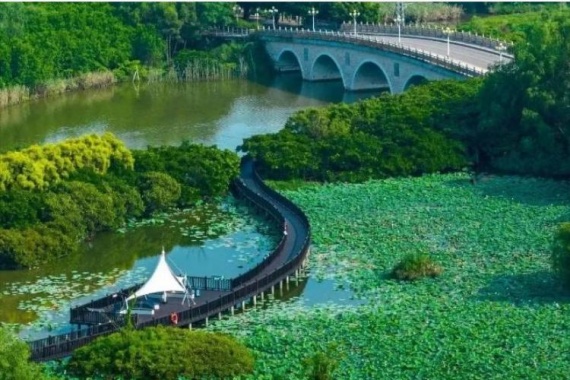 康辉旅游网<特惠游>广州往返-南沙东莞联游生态2天 食足3餐
