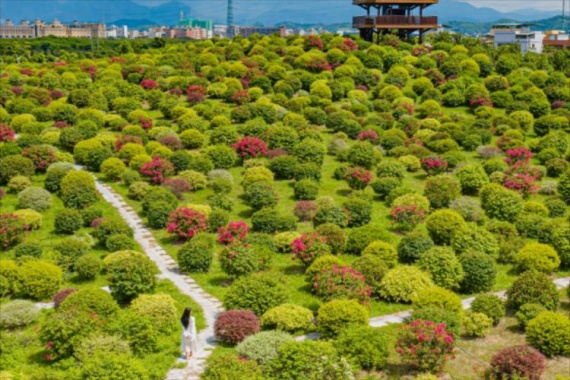 康辉旅游网【行·惠州】惠州&增城 千花洲金缘酒店纯玩2天游