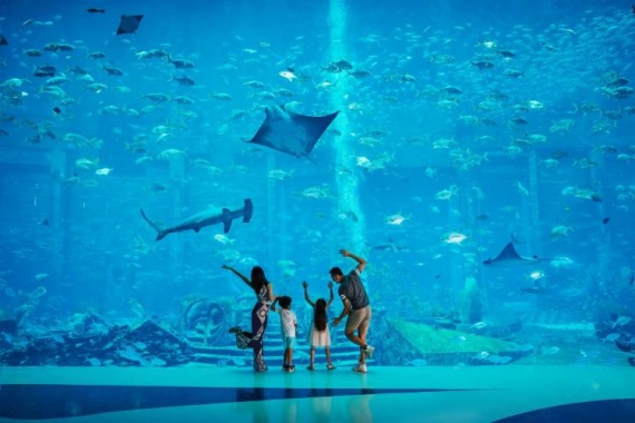 康辉旅游网亚特蜈比心动：海花岛+亚特水族馆+蜈支洲岛+大东海+直升机