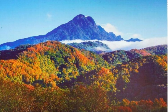 康辉旅游网【海南大环岛】海南*三亚*棋子湾*游艇出海*直升机*五指山热带雨林*六日游