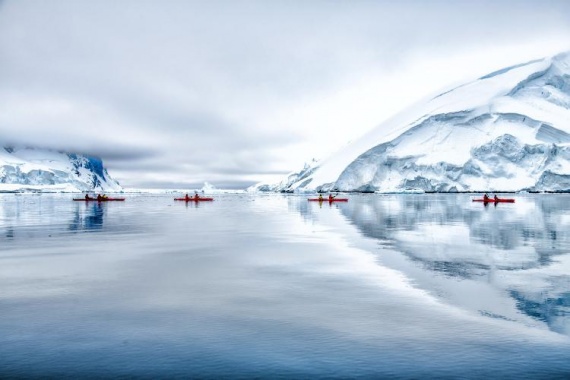 康辉旅游网[庞洛邮轮]南极+南极半岛+南设特兰群岛+阿根廷摄影之旅 17 天13晚