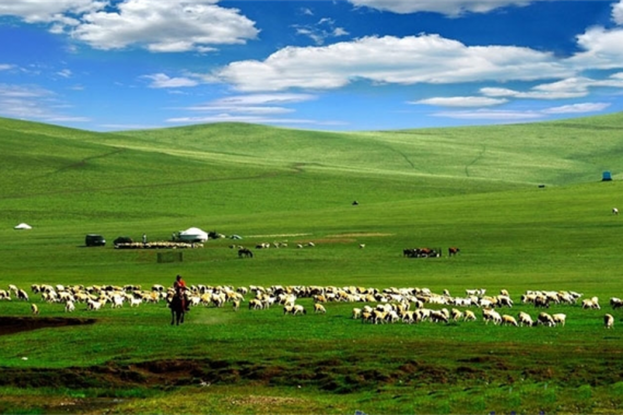 康辉旅游网<经典环游东北+俄罗斯>广州往返、河北+黑龙江+内蒙古+辽宁+俄罗斯 专列16日