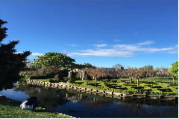 康辉旅游网深圳直飞新西兰玩转南北岛云端牧雪12天9晚