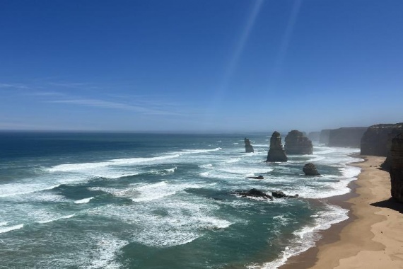 康辉旅游网广州直飞澳趣之旅海豚岛+蒸汽火车+企鹅岛+亲自纯玩10天