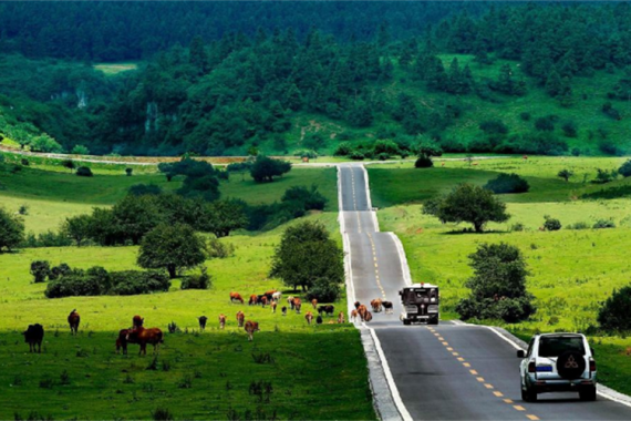 康辉旅游网<特惠><粤游重庆> 广州往返武隆天生三桥、仙女山滑雪、金佛山双飞5天
