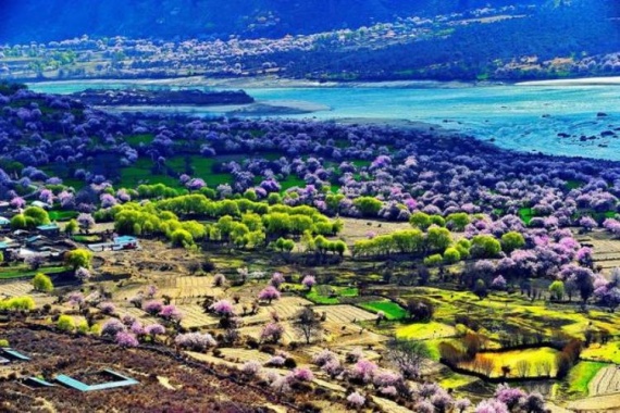 康辉旅游网<西藏繁花>广州起止 布宫 帕邦喀寺 巴松措 桃花 羊湖 雅鲁藏布江 双卧11天