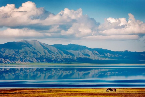 康辉旅游网<经典>新疆▪画堂春色CG 吐尔根杏花+霍城大西沟杏花+吐鲁番杏花 双飞8天